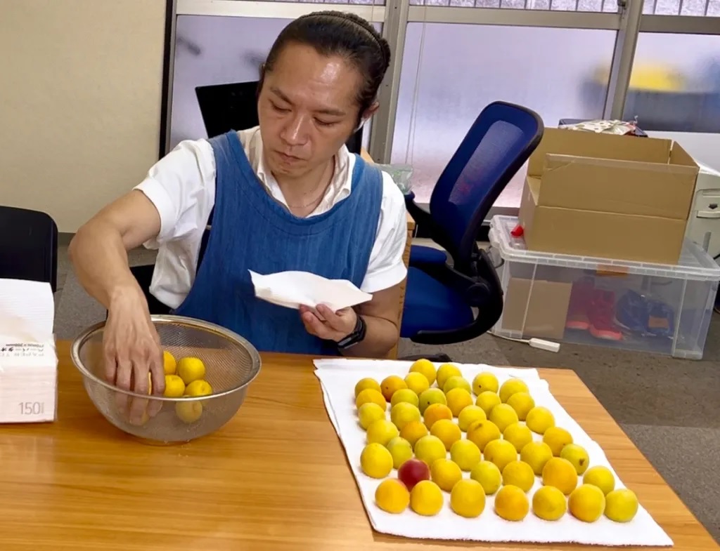 How to make pickled plums like the Japanese grandparents you may or may not have【Part 1】