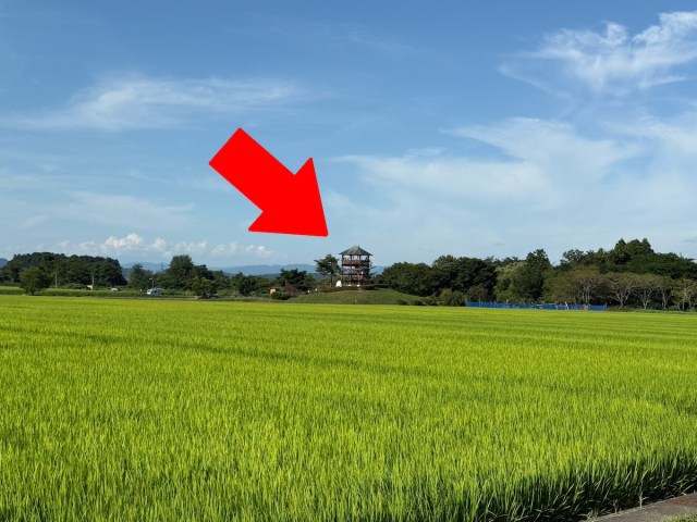 Shohei Ohtani’s hometown creates rice paddy art and manhole cover in ...