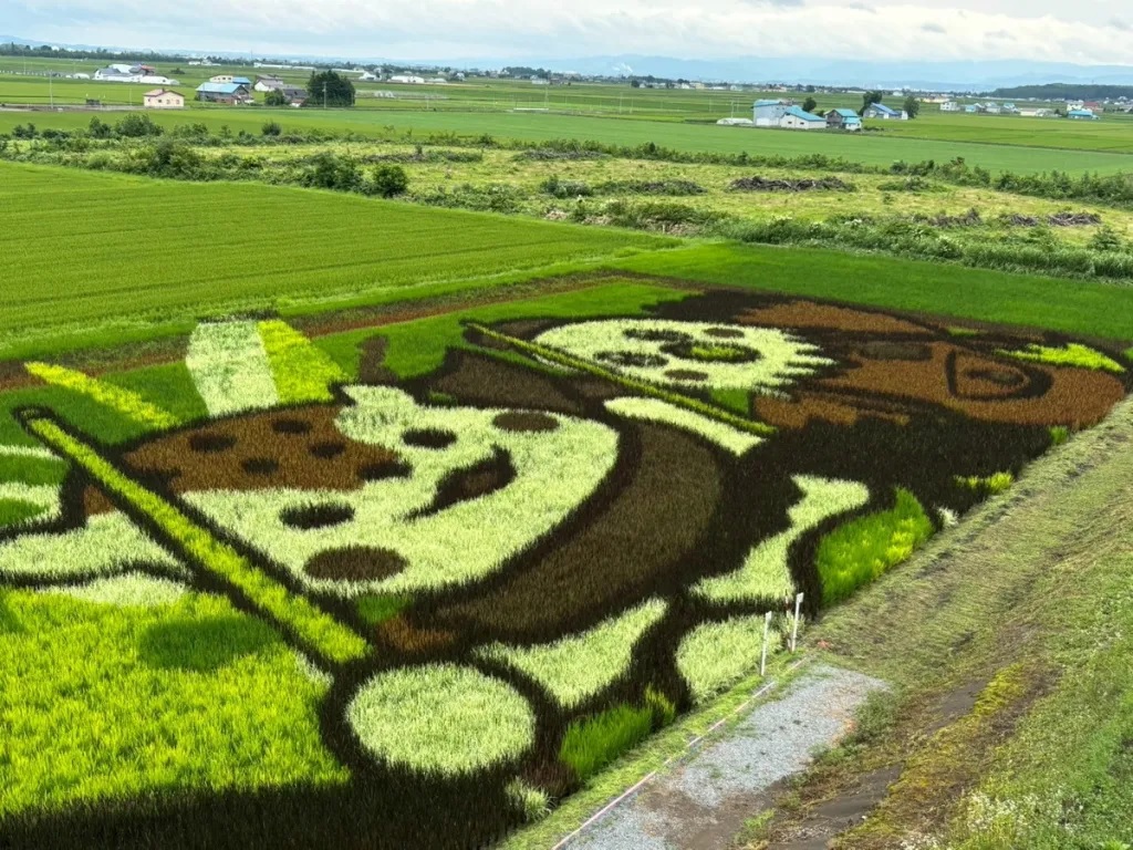 Visiting Hokkaido’s adorable and awesome Asahikawa rice paddy art【Photos】