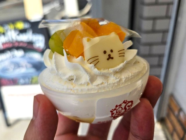 How to buy a cake in a gacha capsule from a vending machine in Japan