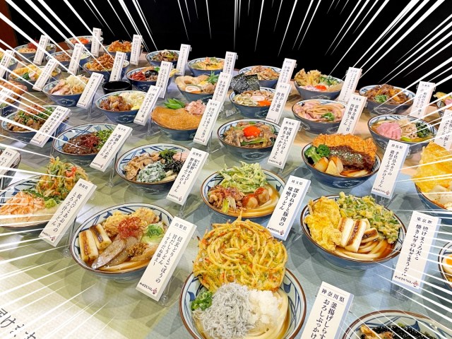 Oodles of noodles! Udon chain pays homage to all 47 prefectures of