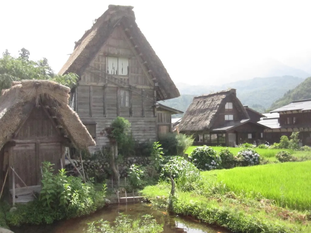 Foreign traveler attacked by bear near one of Japan’s most popular countryside attractions