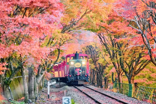 10 great autumn Japan travel spots for fall colors and retro atmosphere【Survey】