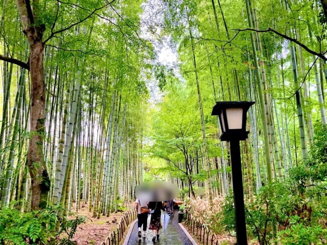 Kyoto travel alternative: The “little Kyoto” of Shuzenji【Photos】 Kyoto travel alternative: The “little Kyoto” of Shuzenji【Photos】