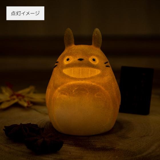 断熱材！！Yellow moon dwarf ’totoro’ spore511 st-4.jpg?w=560