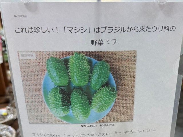 Does the maxixe live up to its promise of being a whole new flavor