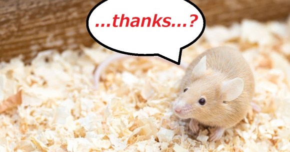 It sounds like the worst Pokémon ever, but it’s actually an important medical breakthrough that will benefit humans.