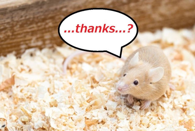 Researchers in Japan give mouse glowing sperm