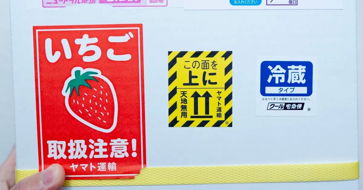 Saitama is home to the best strawberries in Japan that you’ve probably never even heard of