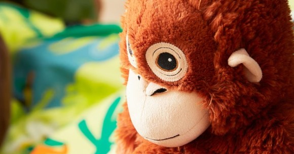 Japanese zoo’s monkey bonds with Ikea stuffed orangutang following abandonment by mother[Video]