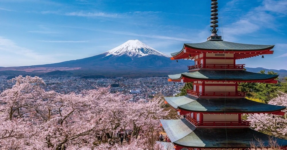 Japan’s most famous Mt. Fuji view park cancels cherry blossom festival because of overtourism