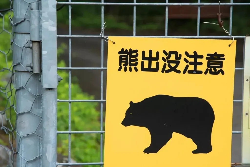 Man in Japan falls into hole with a bear in it