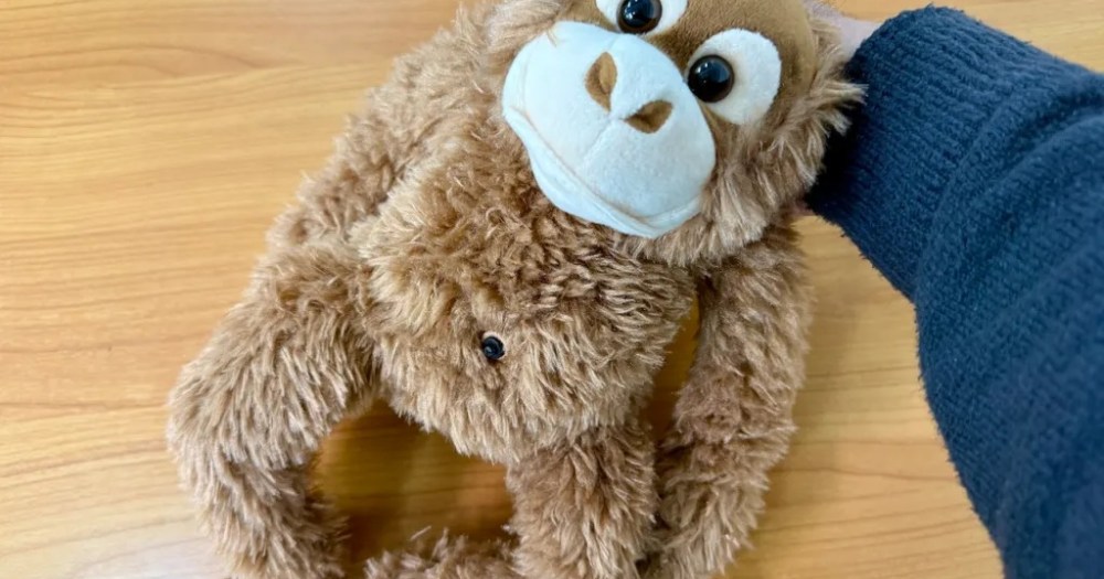 We go looking for a monkey mommy like Punch with Amazon Japan’s ultra low-rated orangutang plushy