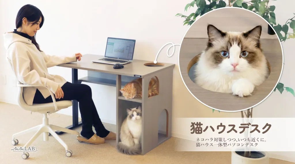 Japan now has a special desk for people who work at home with a pet cat[Photos]
