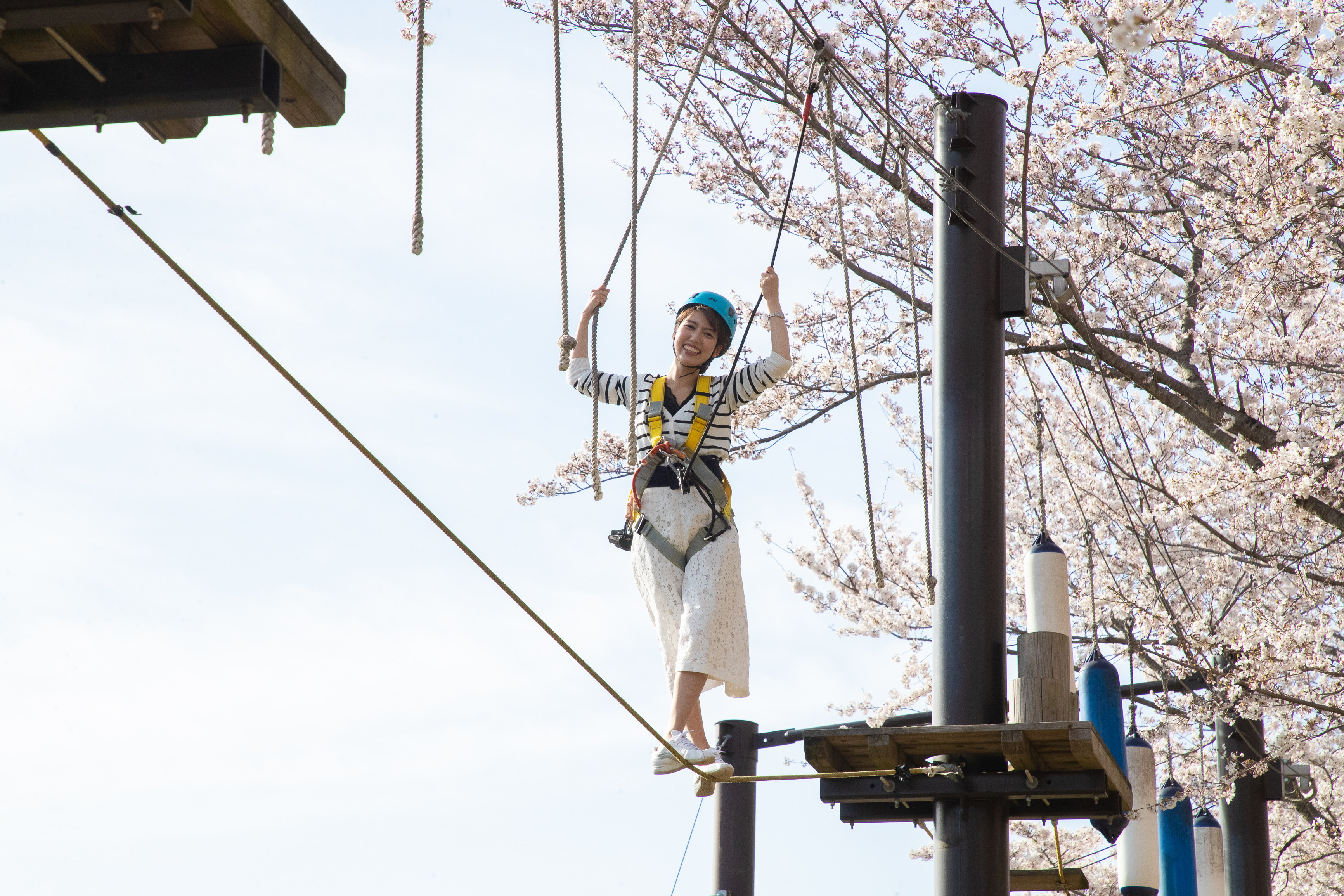 sakura 青梅　27ミリ前後　20キロ Is this Japan's most extreme cherry blossom viewing? Leap, cycle