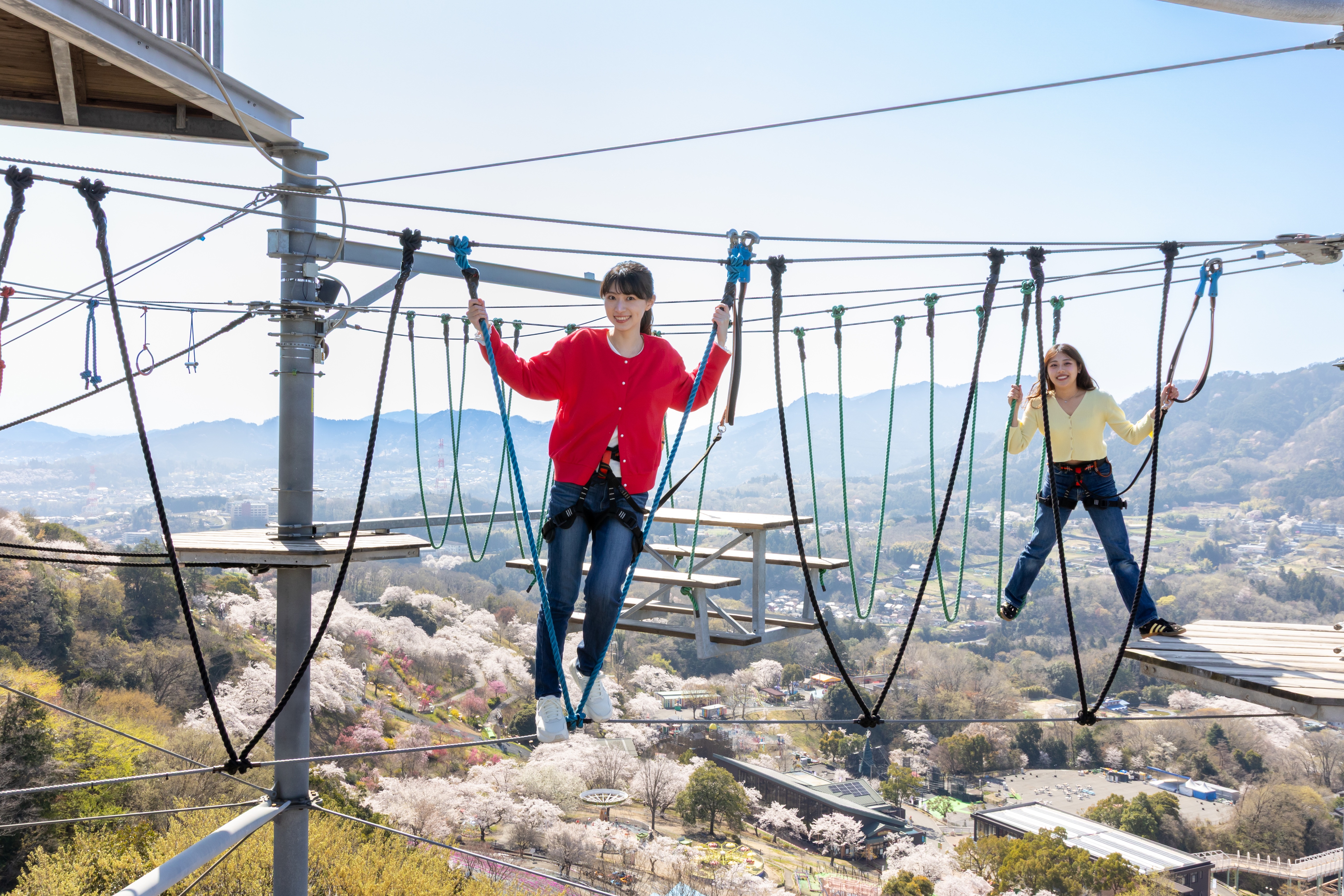 Is this Japan's most extreme cherry blossom viewing? Leap, cycle