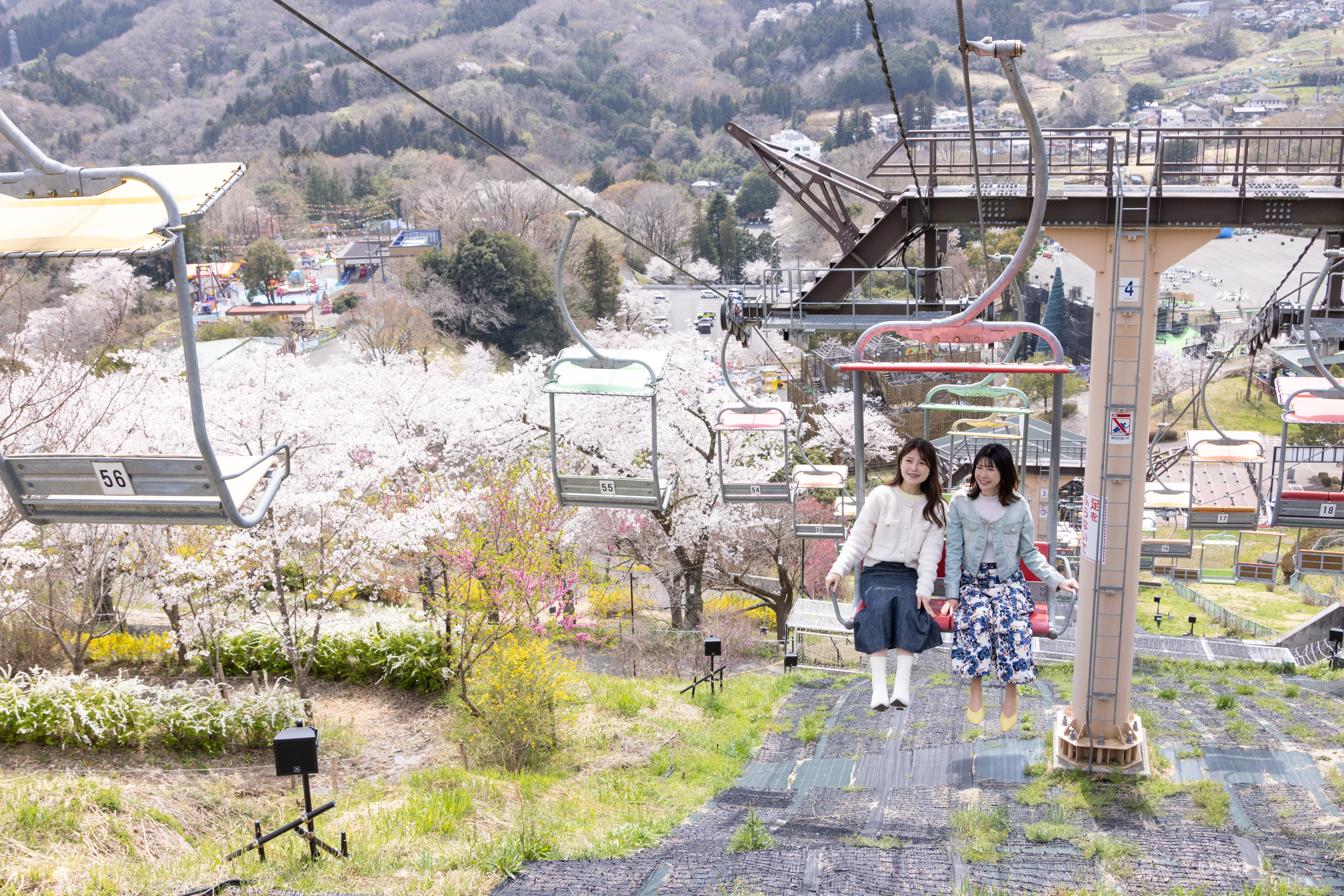 Is this Japan's most extreme cherry blossom viewing? Leap, cycle