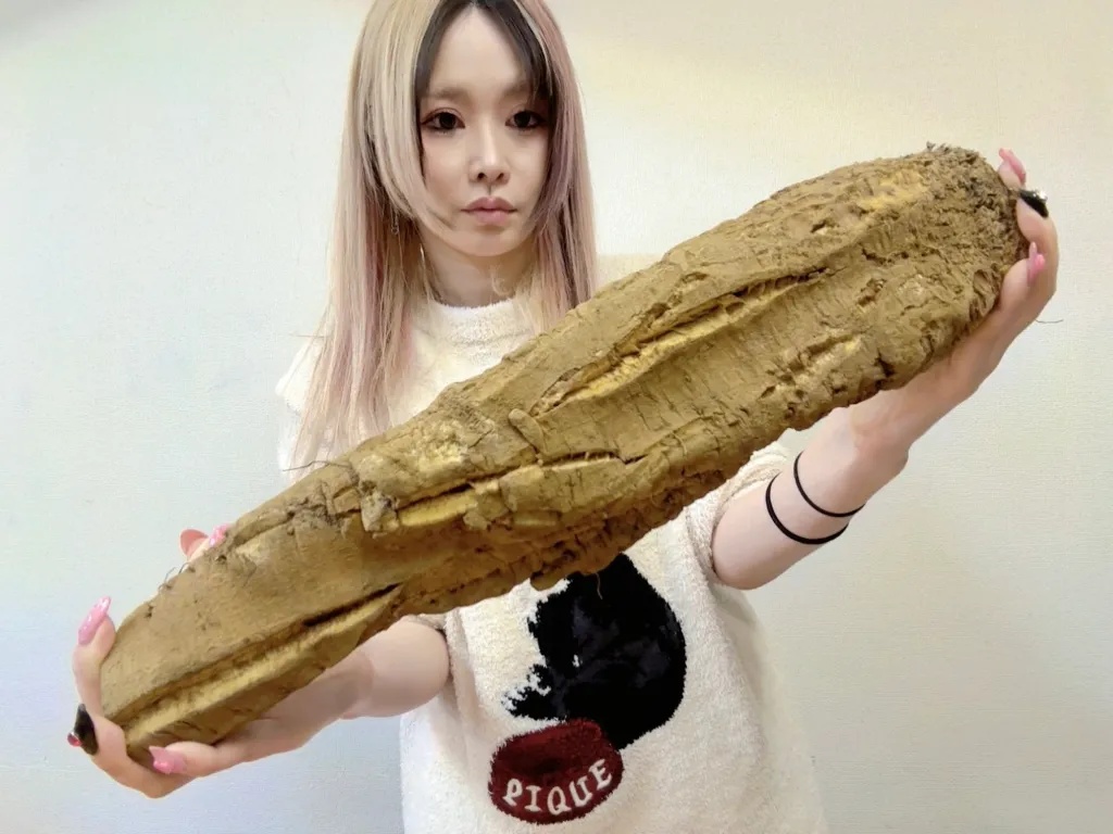 No, that’s not French bread, it’s Japan’s crazy-big gobo!