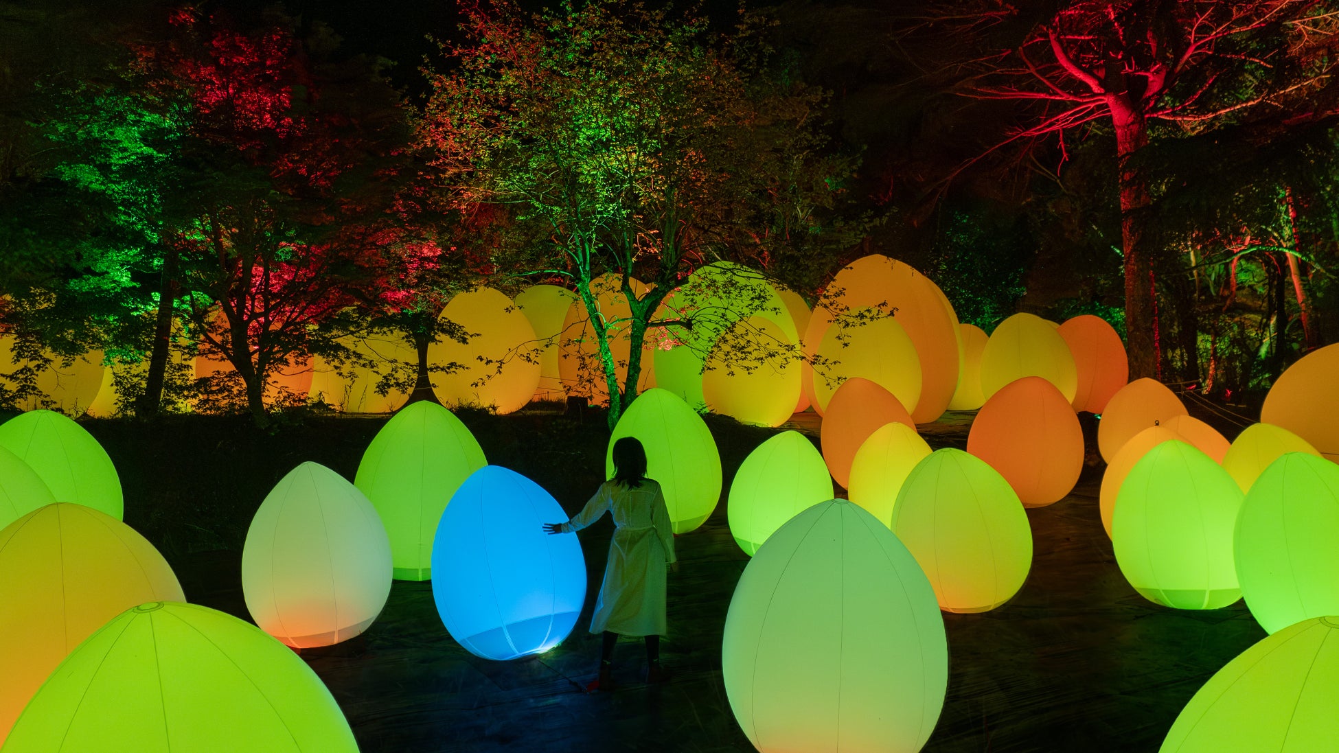 Immerse yourself in TeamLab Yoro Valley’s outdoor nighttime art exhibition in Chiba’s wilderness