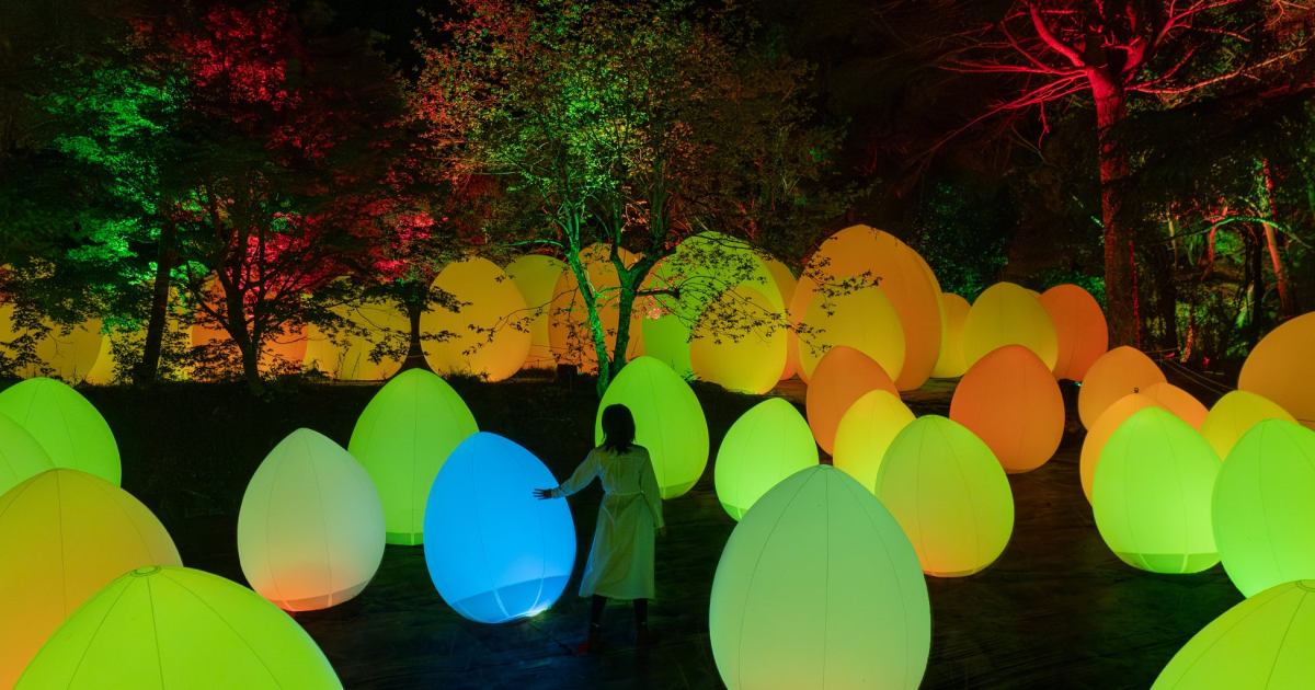 Immerse yourself in TeamLab Yoro Valley’s outdoor nighttime art exhibition in Chiba’s wilderness
