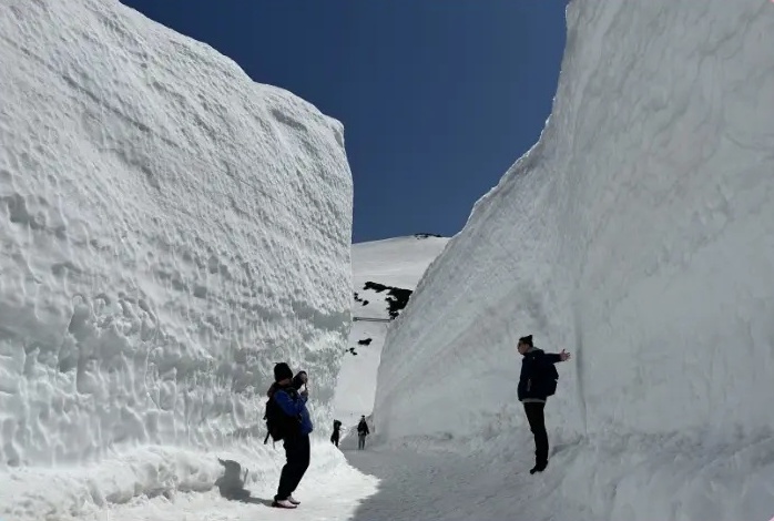Japan's awesomely beautiful Alpen Route snow corridor is now open