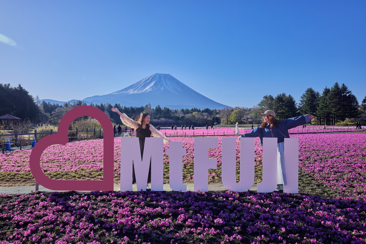 Mt. Fuji decorated with a 500,000-flower pink carpet is Japan’s ...
