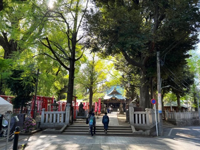 Temple with 600-year-old tree near busy Tokyo station is like a tranquil pocket dimension