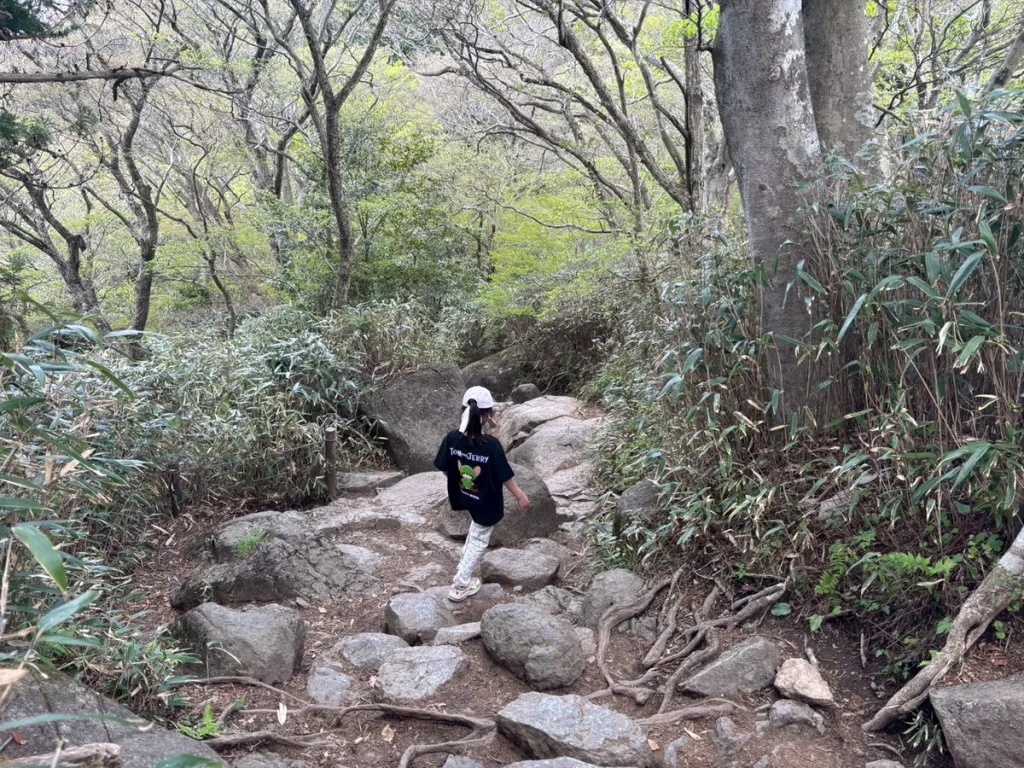 Let's hike a Japanese mountain (that isn't Mt. Fuji) – Mt. Tsukuba
