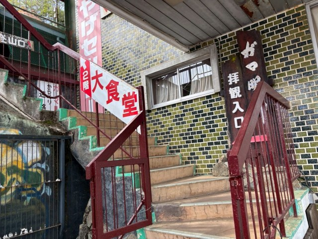 Gama Land, the weird Japanese amusement park celebrating toads, is now like a ghost town