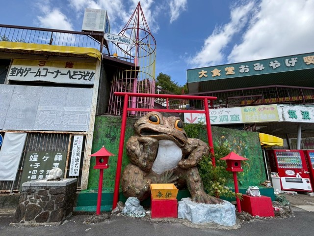 Gama Land, the weird Japanese amusement park celebrating toads, is now like a ghost town