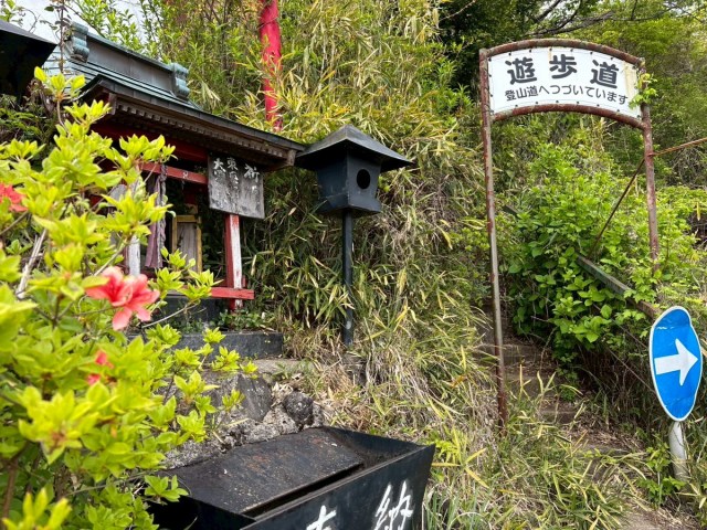 Gama Land, the weird Japanese amusement park celebrating toads, is now like a ghost town