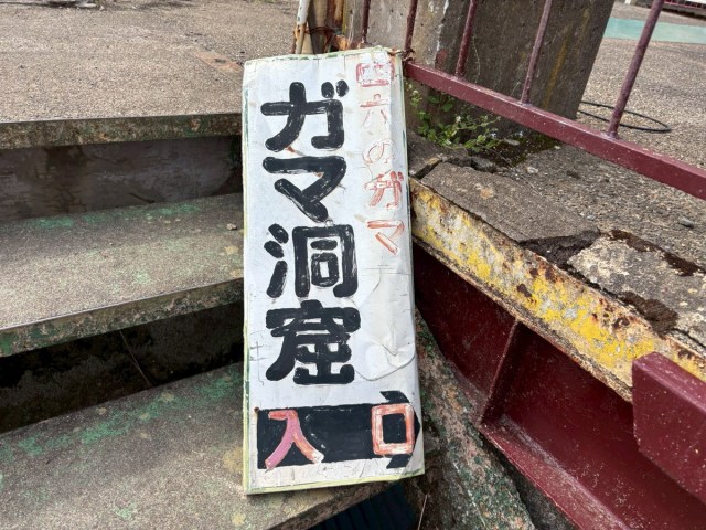 Gama Land, the weird Japanese amusement park celebrating toads, is now like a ghost town