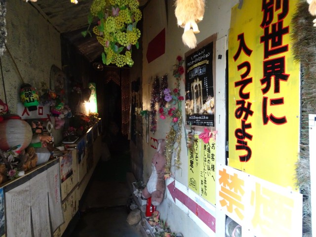 Gama Land, the weird Japanese amusement park celebrating toads, is now like a ghost town