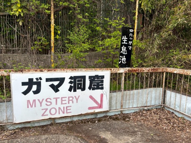 Gama Land, the weird Japanese amusement park celebrating toads, is now like a ghost town