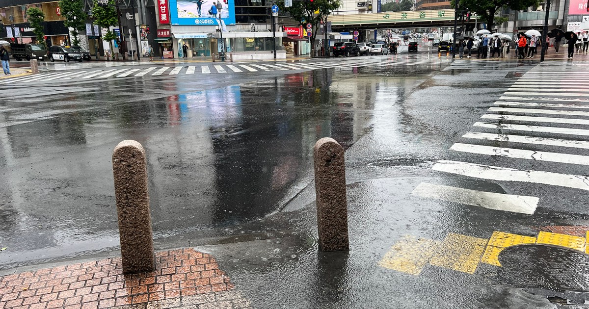 Tourists brave Typhoon Jangmi to queue at two famous sites in Tokyo