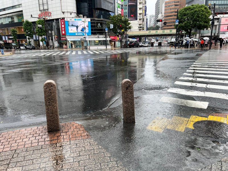 Tourists brave Typhoon Jangmi to queue at two famous sites in Tokyo