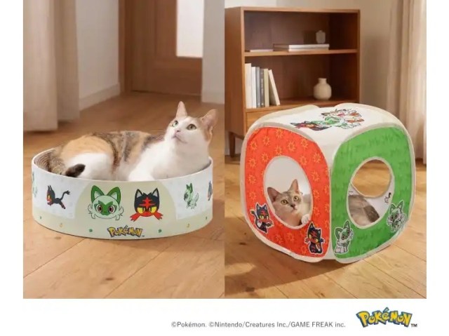 If you love Pokémon and cats, you’ll love Japan’s cat Pokémon cat toys and feeding dishes[Photos]