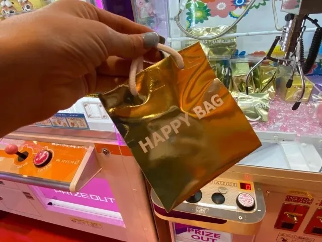 Shizuoka police inspector punished for playing crane games on duty