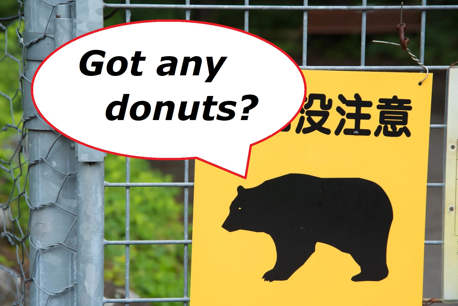 A donut and sugar-loving bear in Japan is breaking into homes, checking fridges for sweet snacks