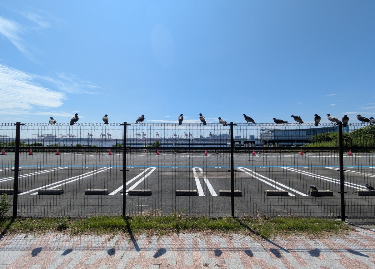 Is Tokyo's Odaiba, once one of its trendiest neighborhoods