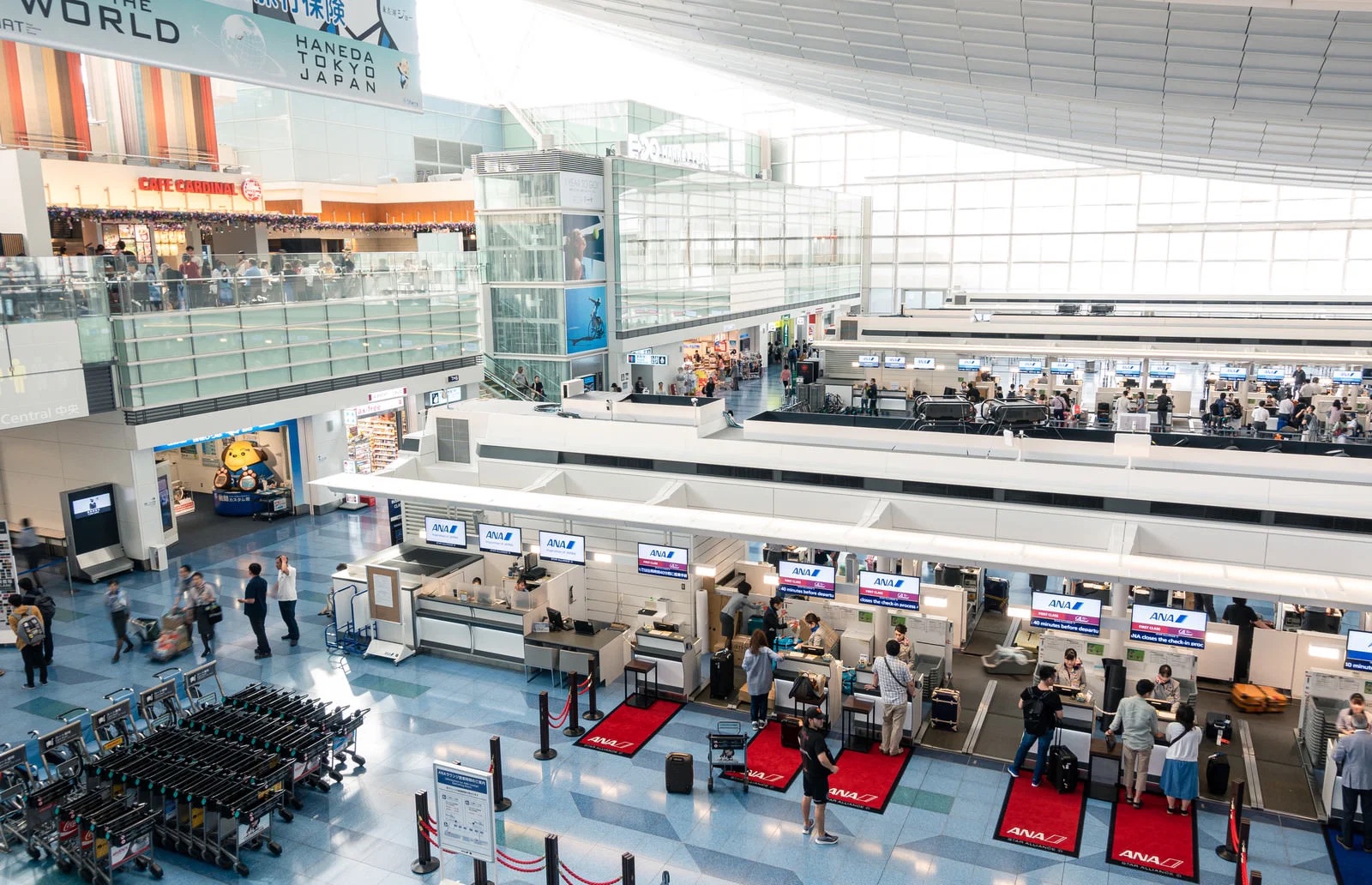 Japanese airlines set to cut fuel surcharges for international flights ...