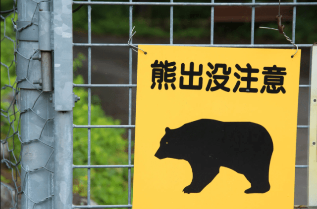 Data suggests increased bear sightings have led to a decrease in mountain climbers across Japan