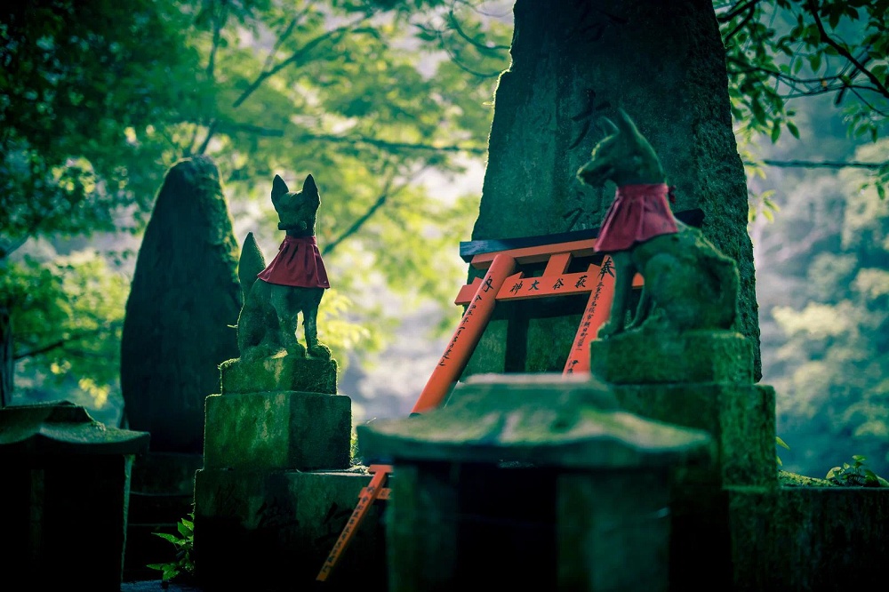 Fox spotted in Tokyo’s 23 wards, Japanese Internet wonders if it’s a shapeshifting spirit [Video]