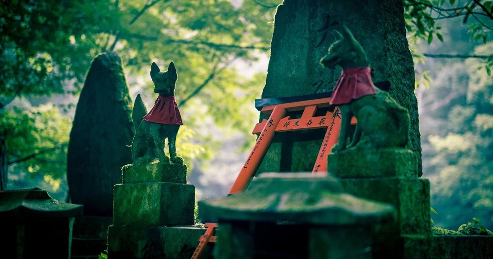 Fox spotted in Tokyo’s 23 wards, Japanese Internet wonders if it’s a shapeshifting spirit [Video]