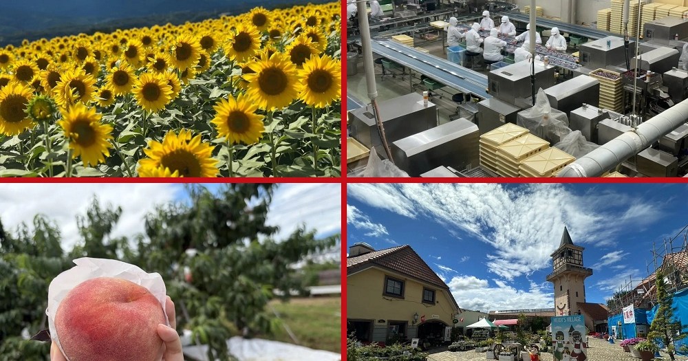 The confusing enjoyment of our day-trip bus tour from downtown Tokyo to Yamanashi [Photos]
