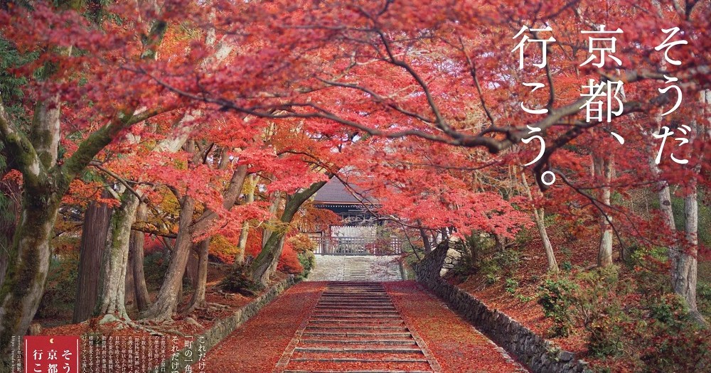 How to get into this beautiful off-the-beaten-path Kyoto temple earlier than the general public