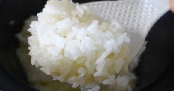 To stir, or not to stir – A Japanese rice cooker debate