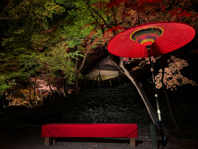 Tokyo’s Rikugien Garden announces nighttime foliage illumination event ahead of autumn Tokyo’s Rikugien Garden announces nighttime foliage illumination event ahead of autumn