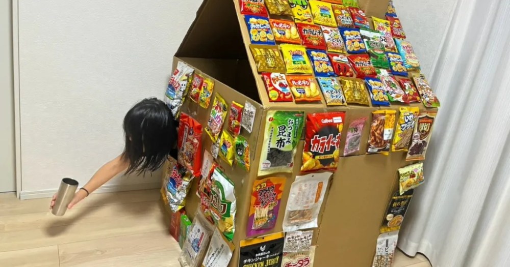 If anyone needs us, we’ll be in the cardboard Japanese snack house we just built [Photos]